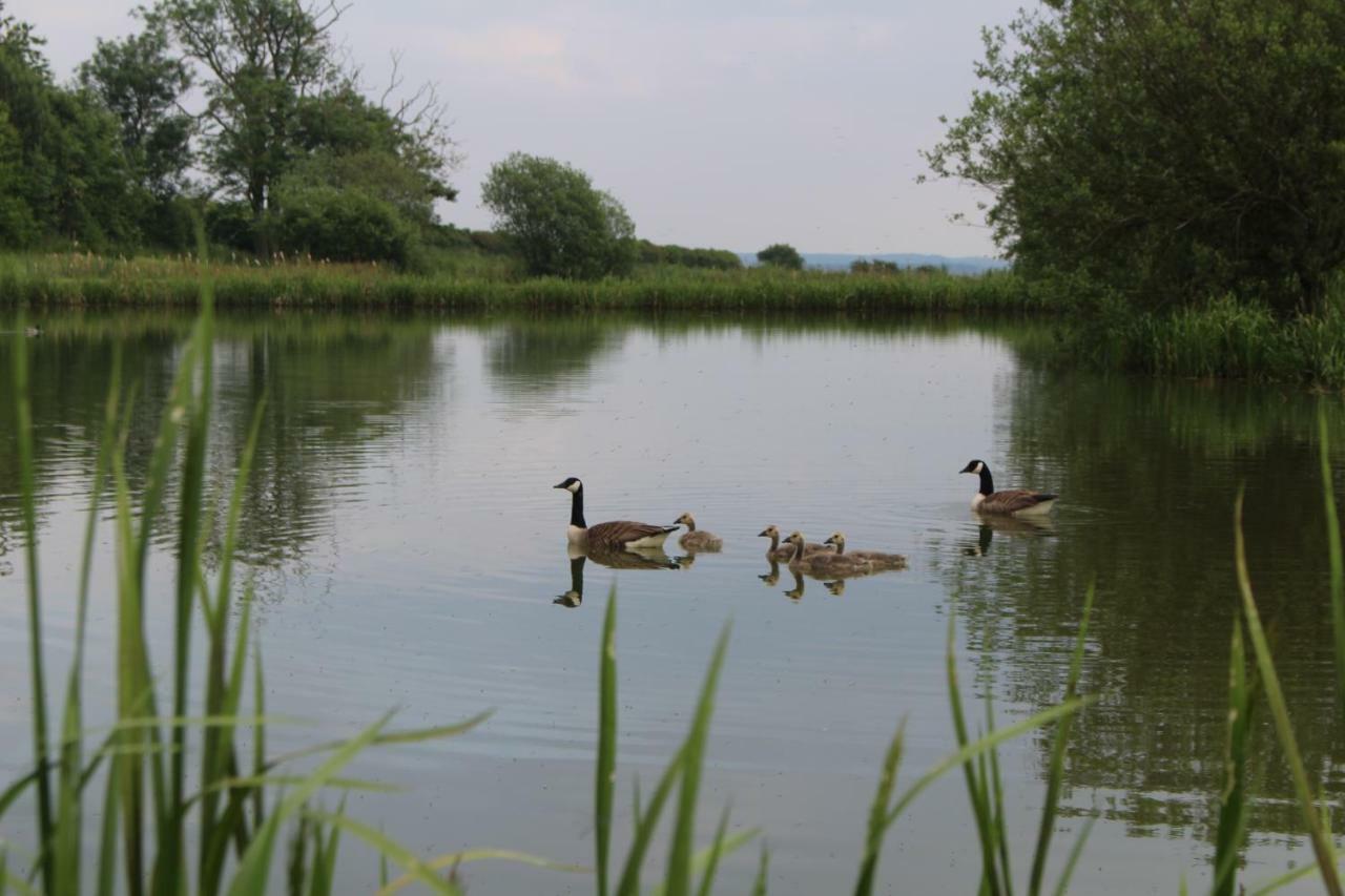 Fair Farm Hideaway Villa Waltham on the Wolds Екстериор снимка